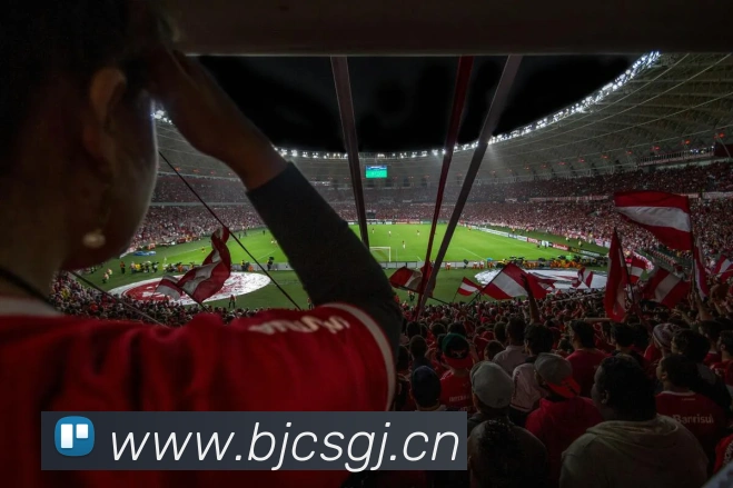 爱游戏ayx官网平台登录品牌故事